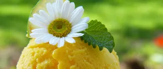 Kesäinen kuva, etualalla jäätelöpallo, jota koristaa päivänkakkara.