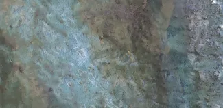 Taidekilpailun voittajateos "elämän eväät"