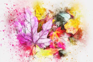 Värikkäitä syksyn lehtiä