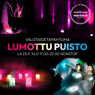 Lumottu puisto 23.11.2024